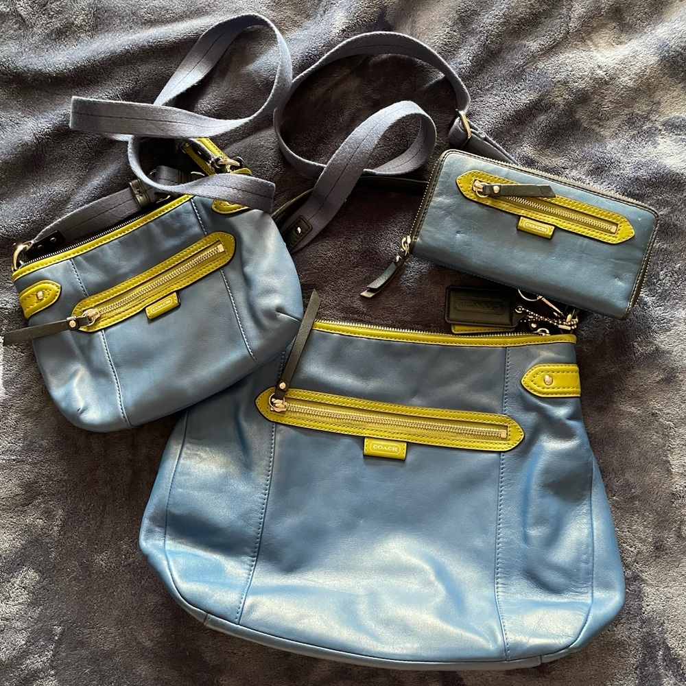 Coach purse set